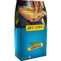 Семена кукурузы ДКС 3203